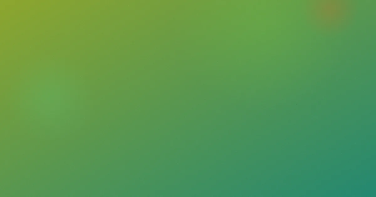 九九爱推荐：新手入门